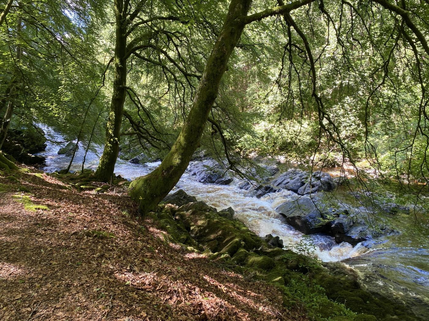 Glen Tilt