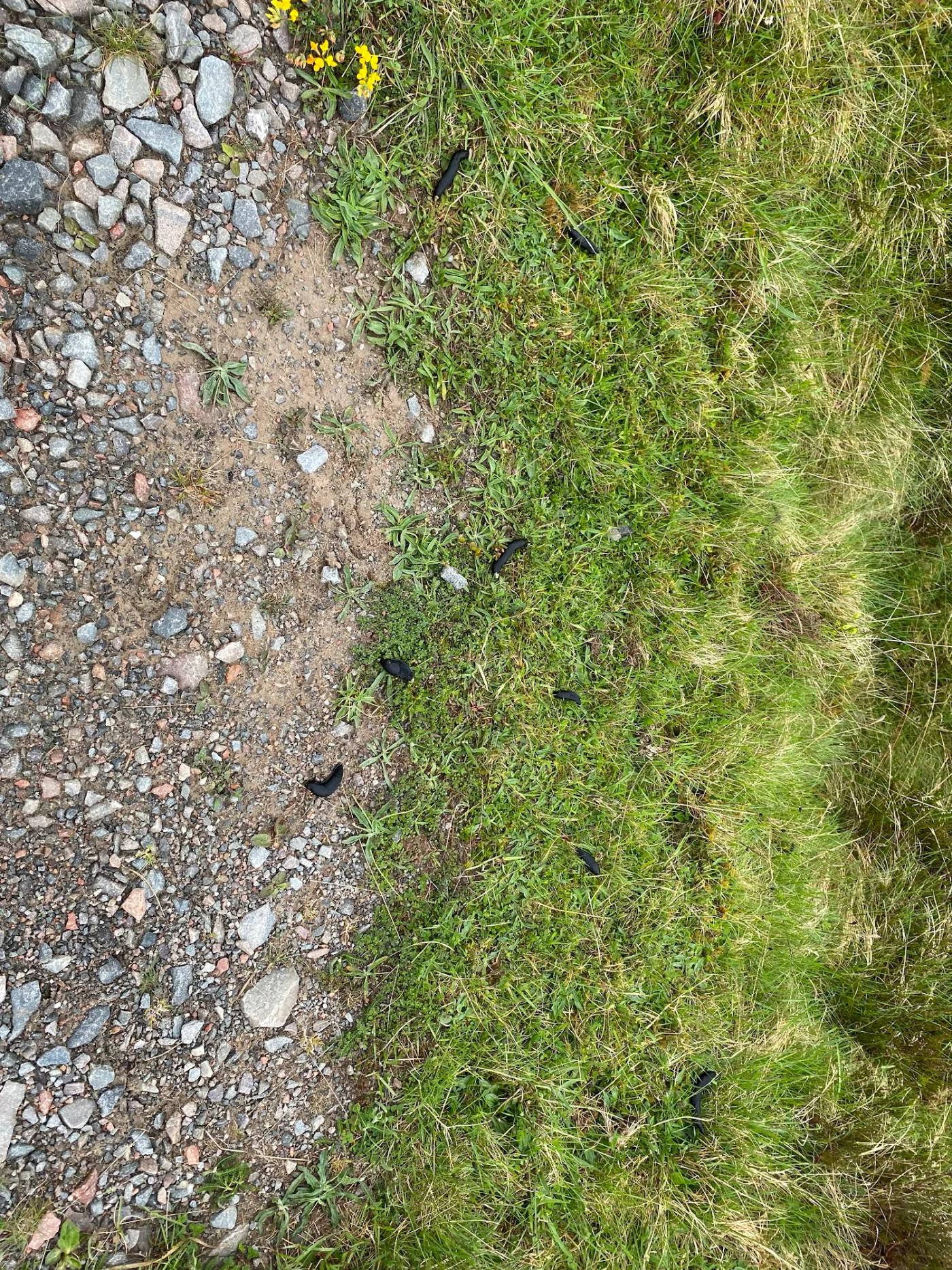 Hiking photograph