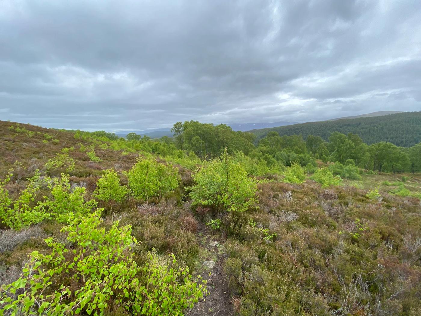 Hiking photograph
