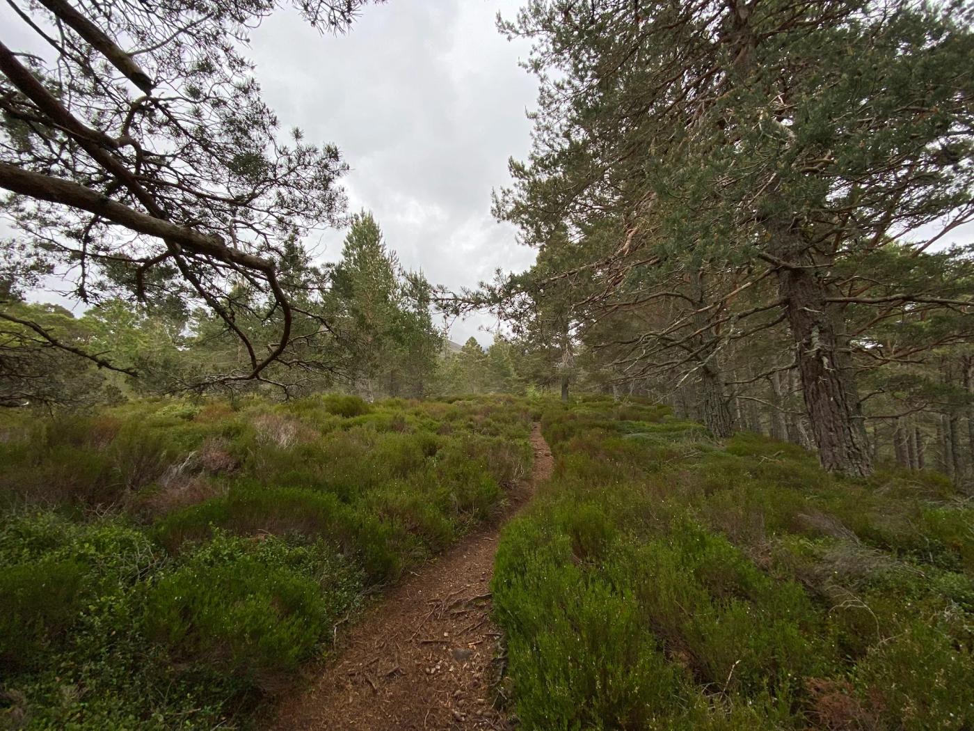 Hiking photograph