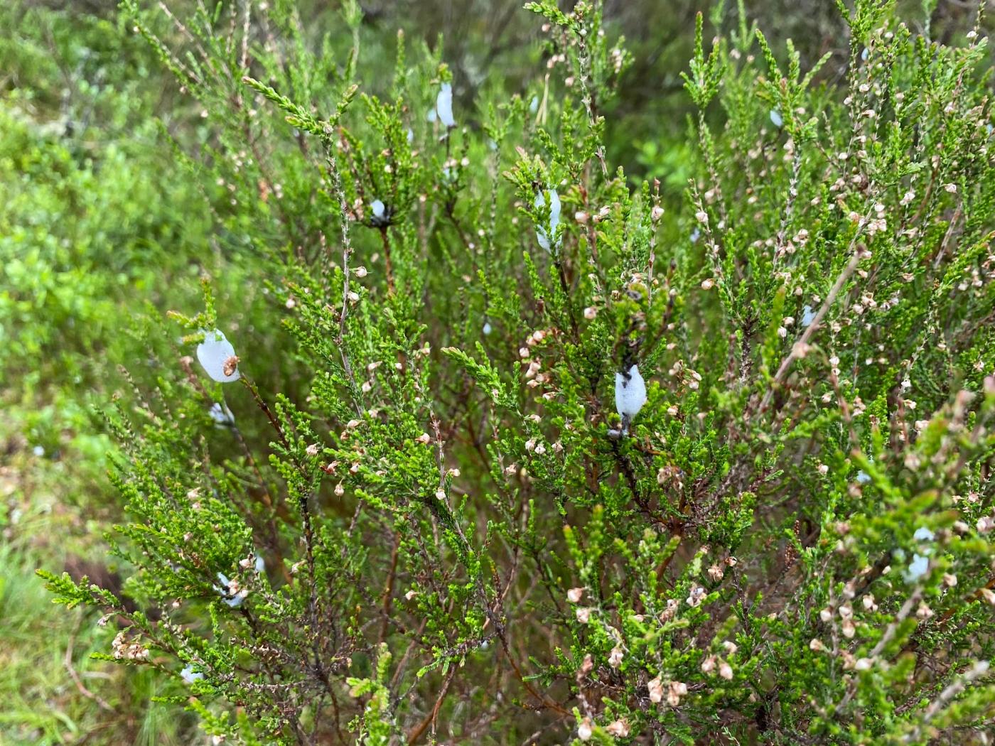 Hiking photograph