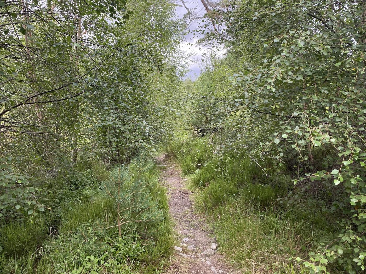 Hiking photograph