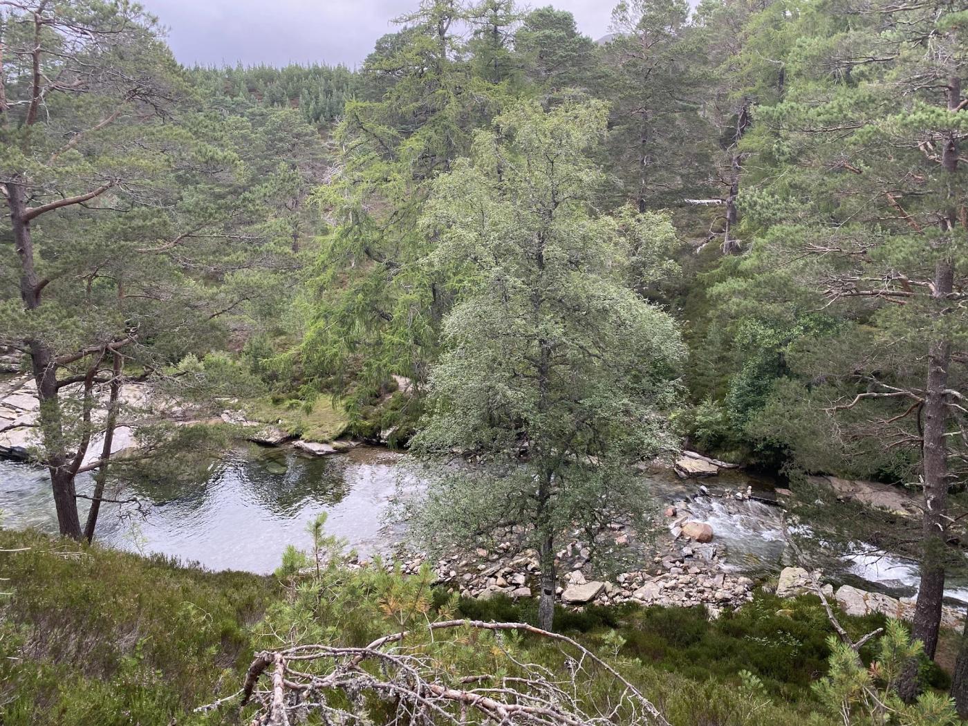 Hiking photograph