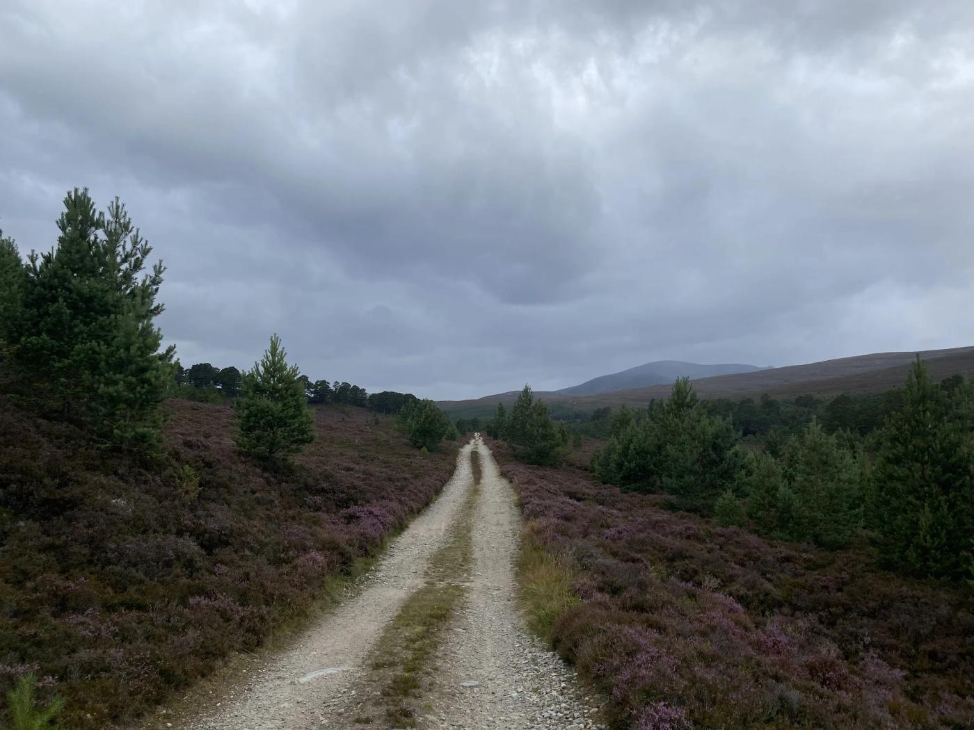 Hiking photograph