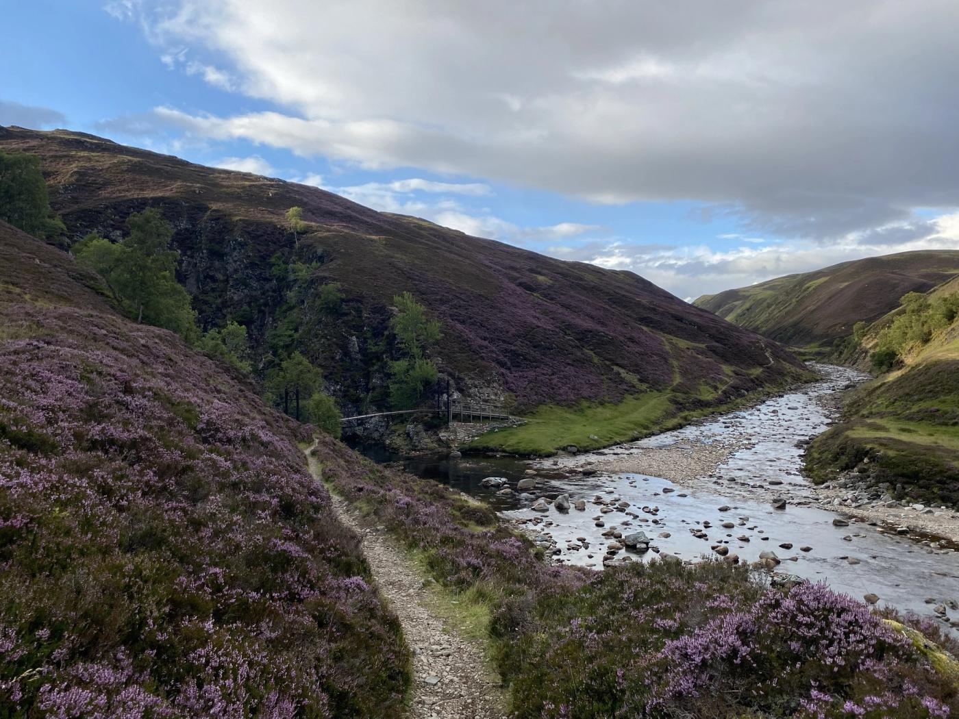 Falls of Tarff in 2024