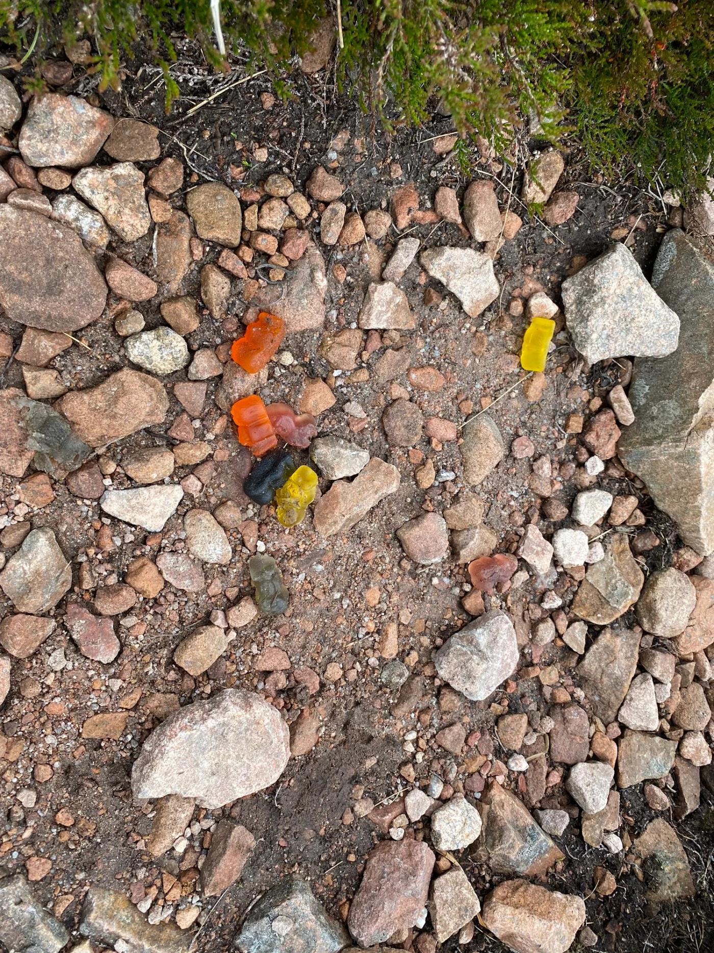 Hiking photograph
