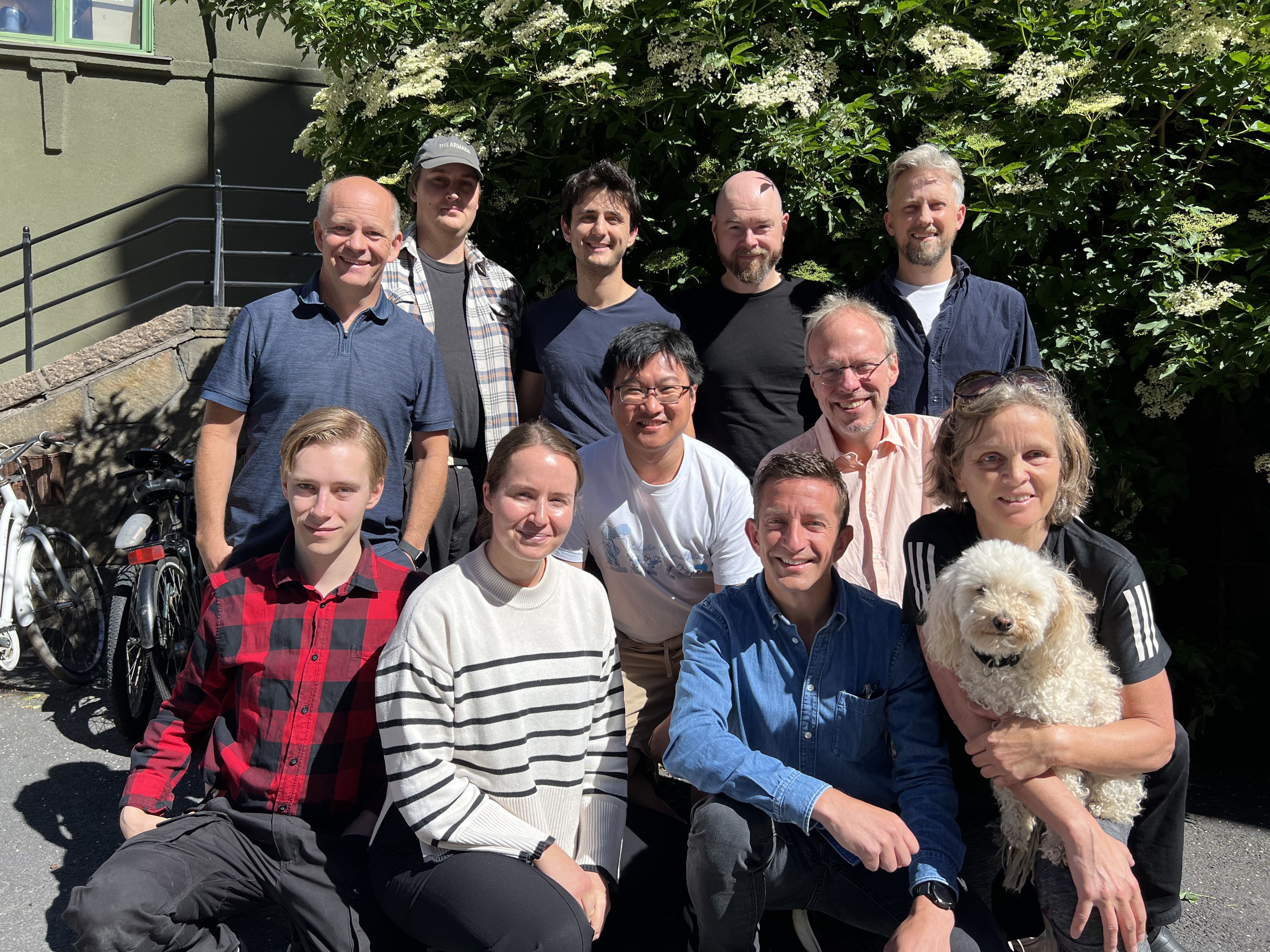 Vaja team