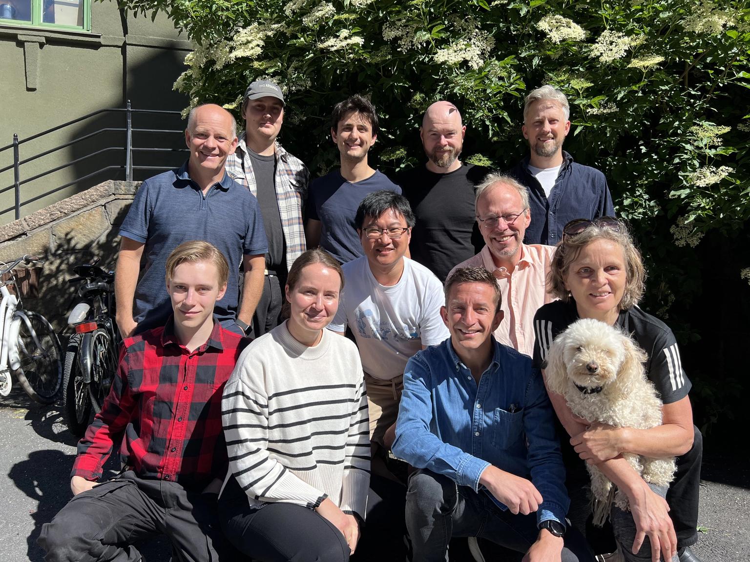 Vaja team