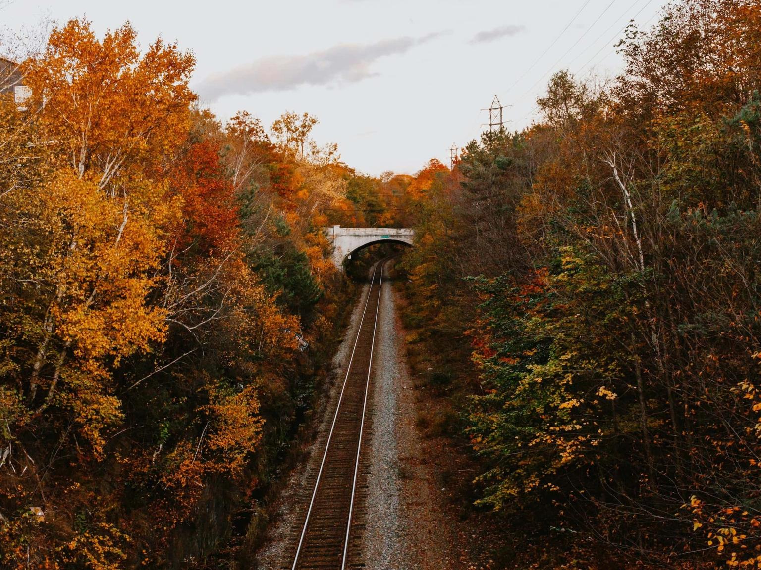 image-4d2fe9d1d90e6d3c8bd0465e69ba64e64c906274-2274x1706-jpg