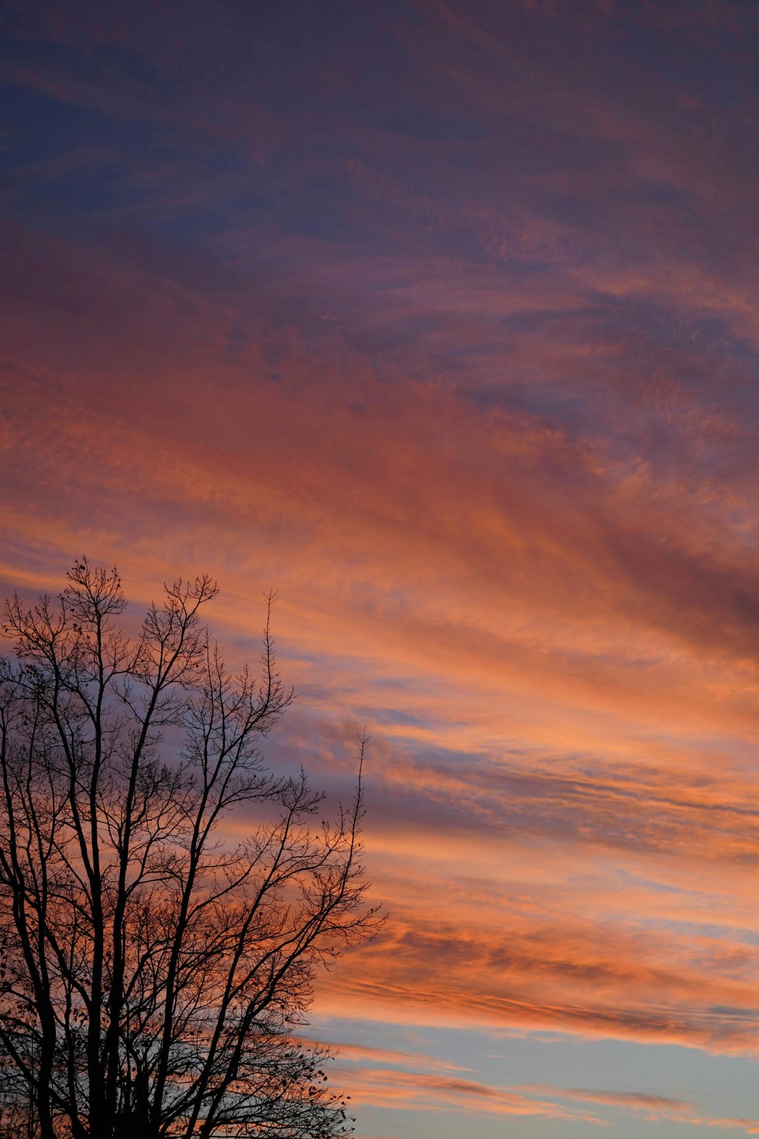 image-8860f0e732c32359f605350dc080787c9c6382dc-4000x6000-jpg