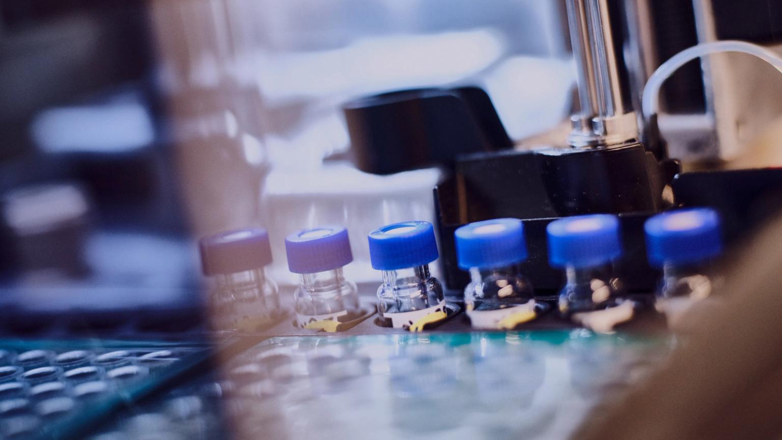 image-b672d56457cbb559c637ab936b3ecafe5df110ee-2880x1620-jpg