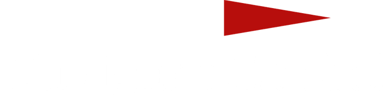 image-e82f7860c7618624ca5349c10c0ac9800f10fea8-1000x270-png