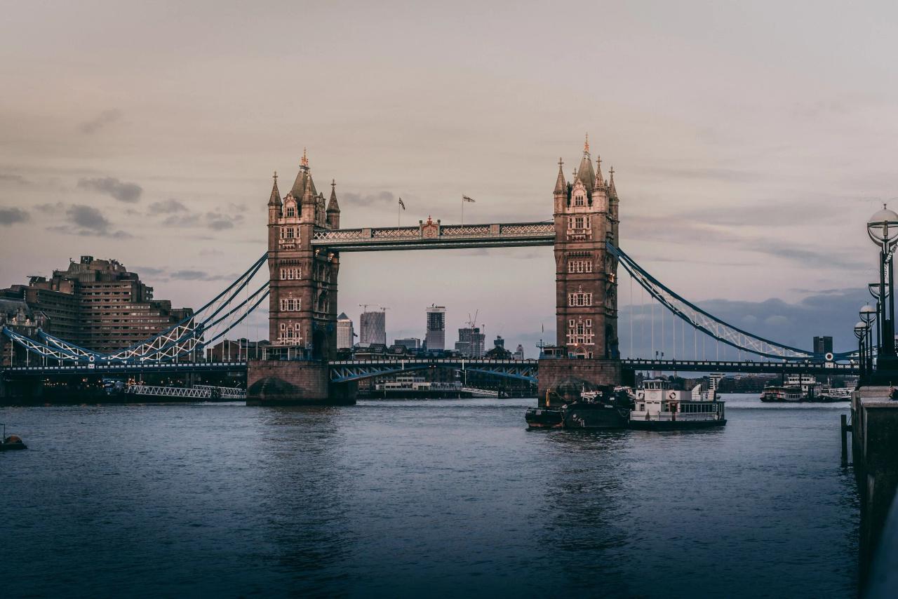 Top 5 Courses with High Demand in the UK