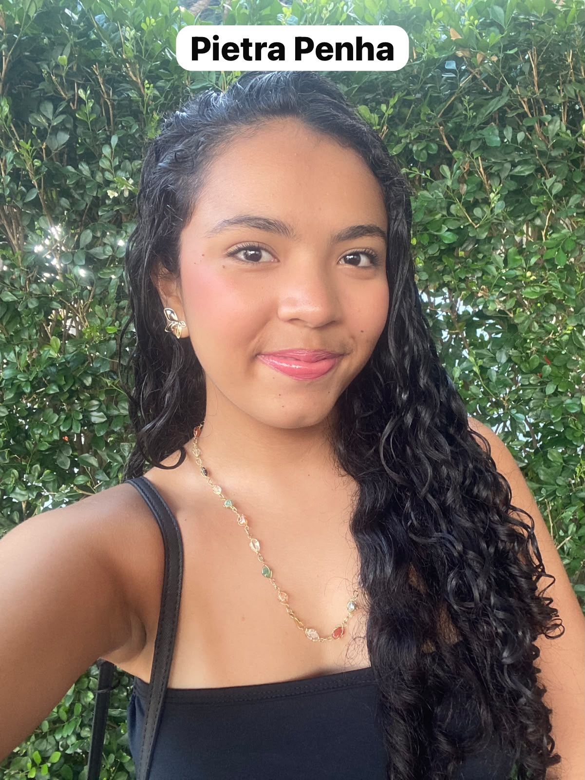 Pietra Penha