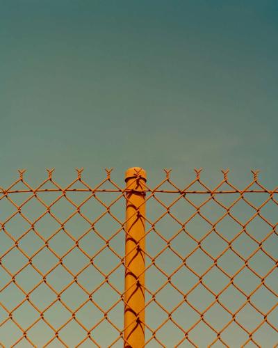 Photograph by Sam Wright