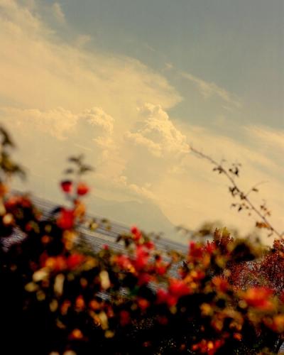 Photograph by Sam Wright