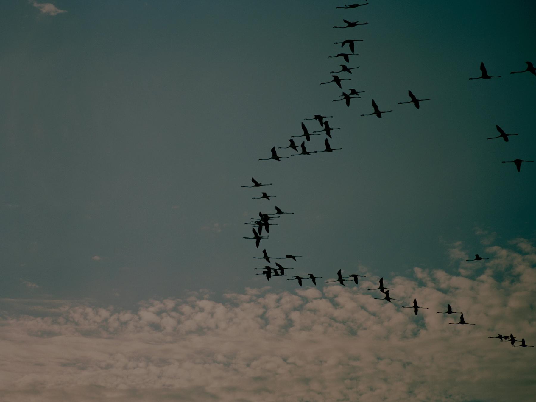 Photograph by Sam Wright