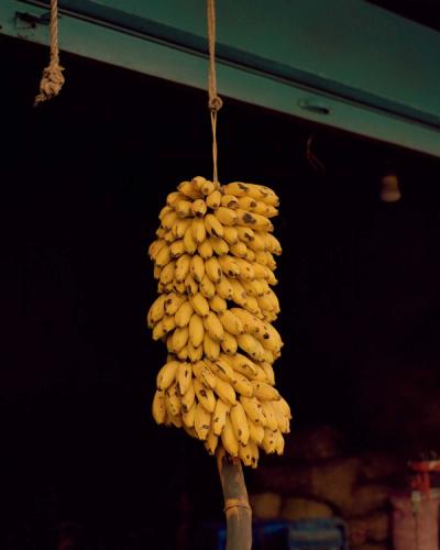 Photograph by Sam Wright
