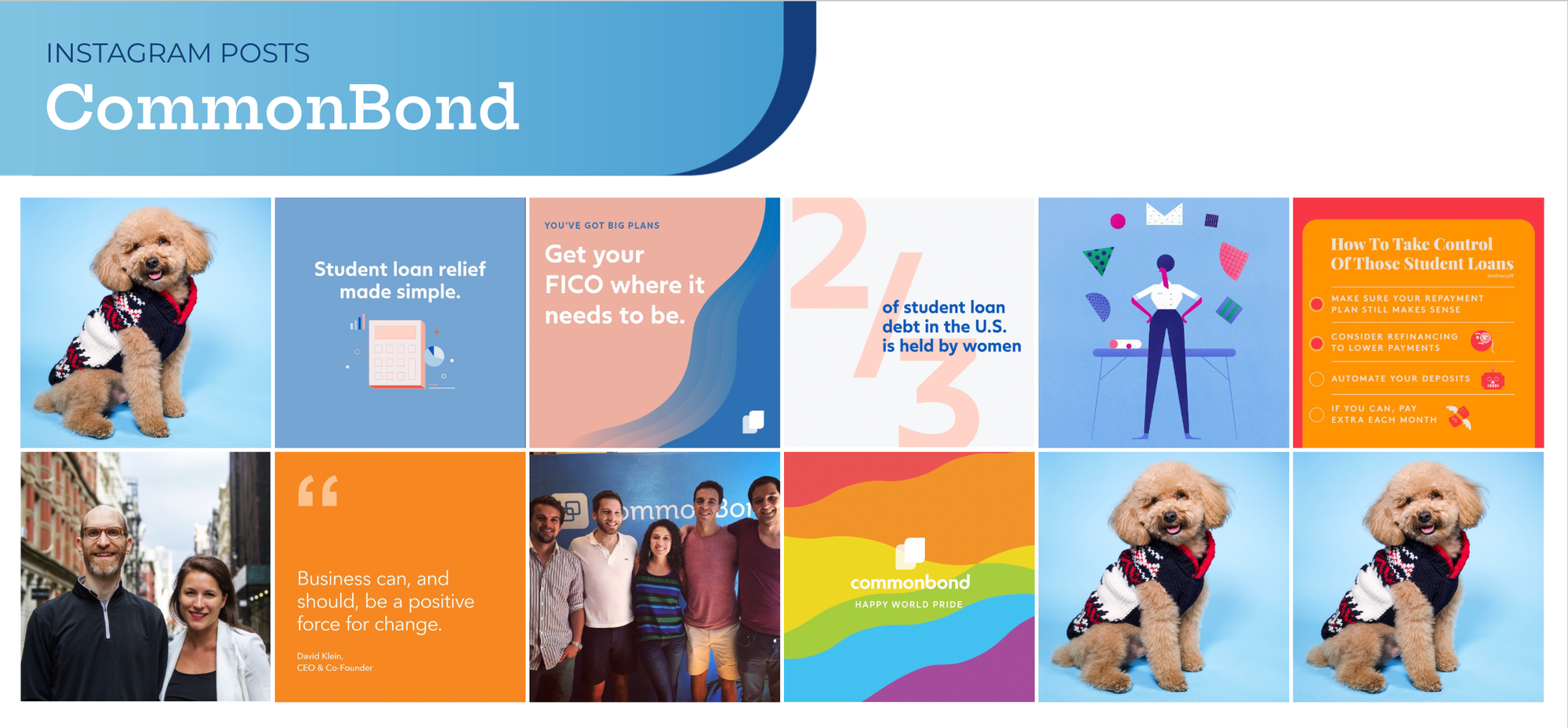 Competitor audit board for CommonBond — loan-relief headlines, a debt statistic, and a poodle in a knitted jumper appearing three times in twelve posts.