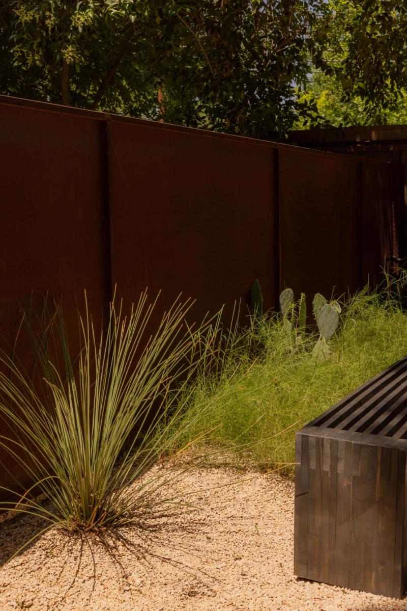 Golden Hour landscape native Texas plantings with sotol, prickly pear, and ornamental grasses against Cor-Ten fence