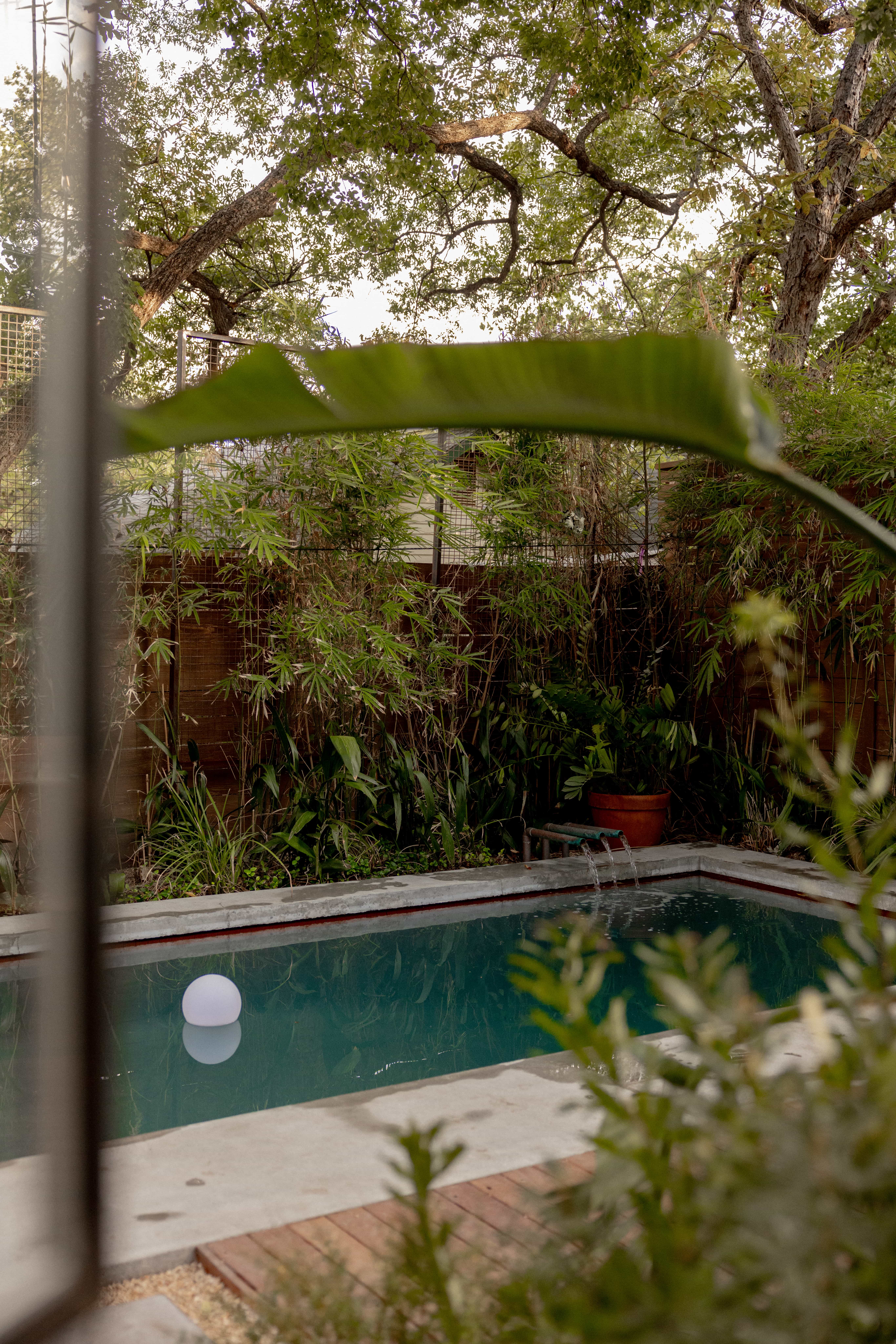 Golden Hour Pools Classic in Austin, featuring floating orb light and fountain through tropical foliage and gunite plaster finish