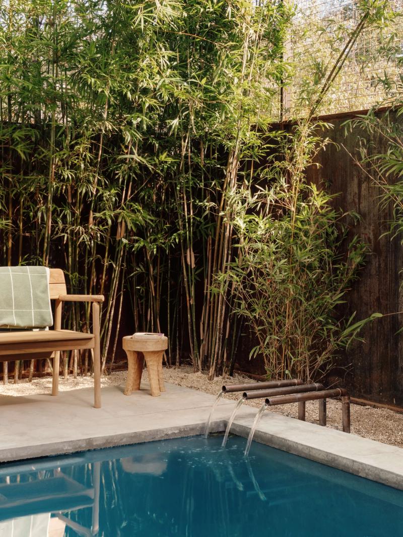 Golden Hour Pools Classic in Austin, featuring teak bench and fountain with bamboo wall and gunite plaster finish