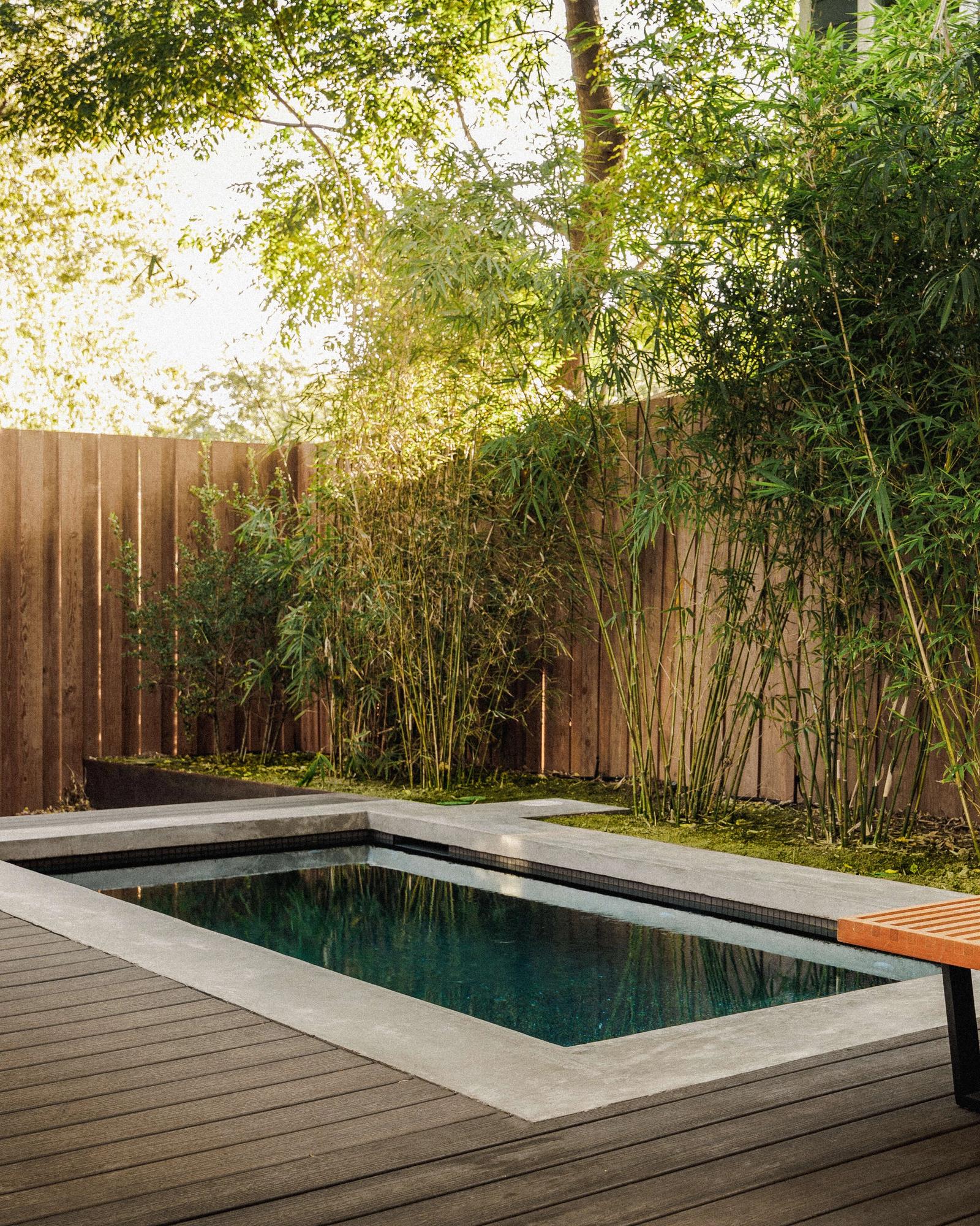 Golden Hour Pools Mini in Austin, featuring modern deck integration with mid-century home with gunite plaster finish