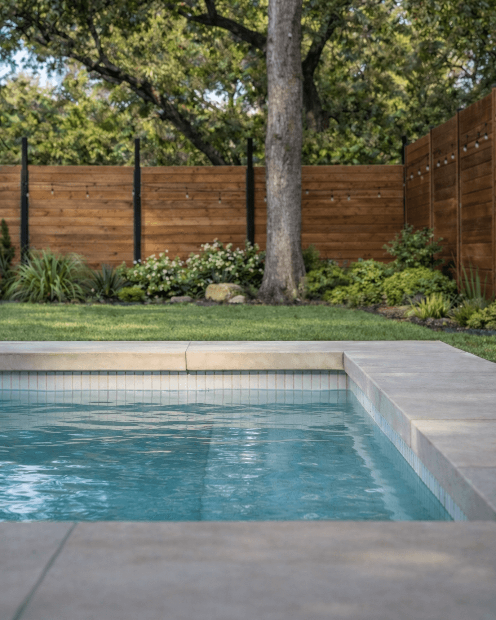 Golden Hour Pools Classic in Dallas, featuring waterline tile and oak tree with string lights and gunite plaster finish