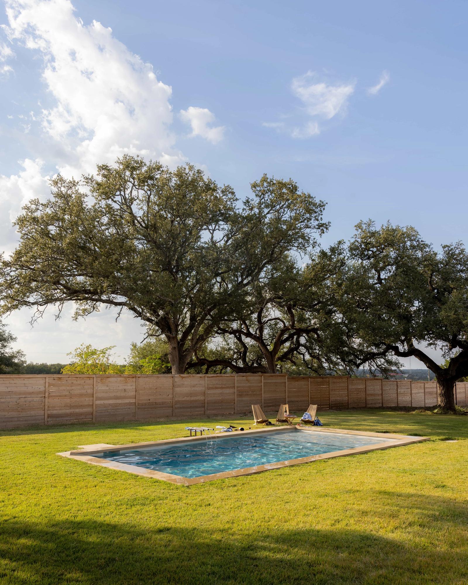 Golden Hour Pools Grand in Waco, featuring dramatic oak tree framing the pool and gunite plaster finish