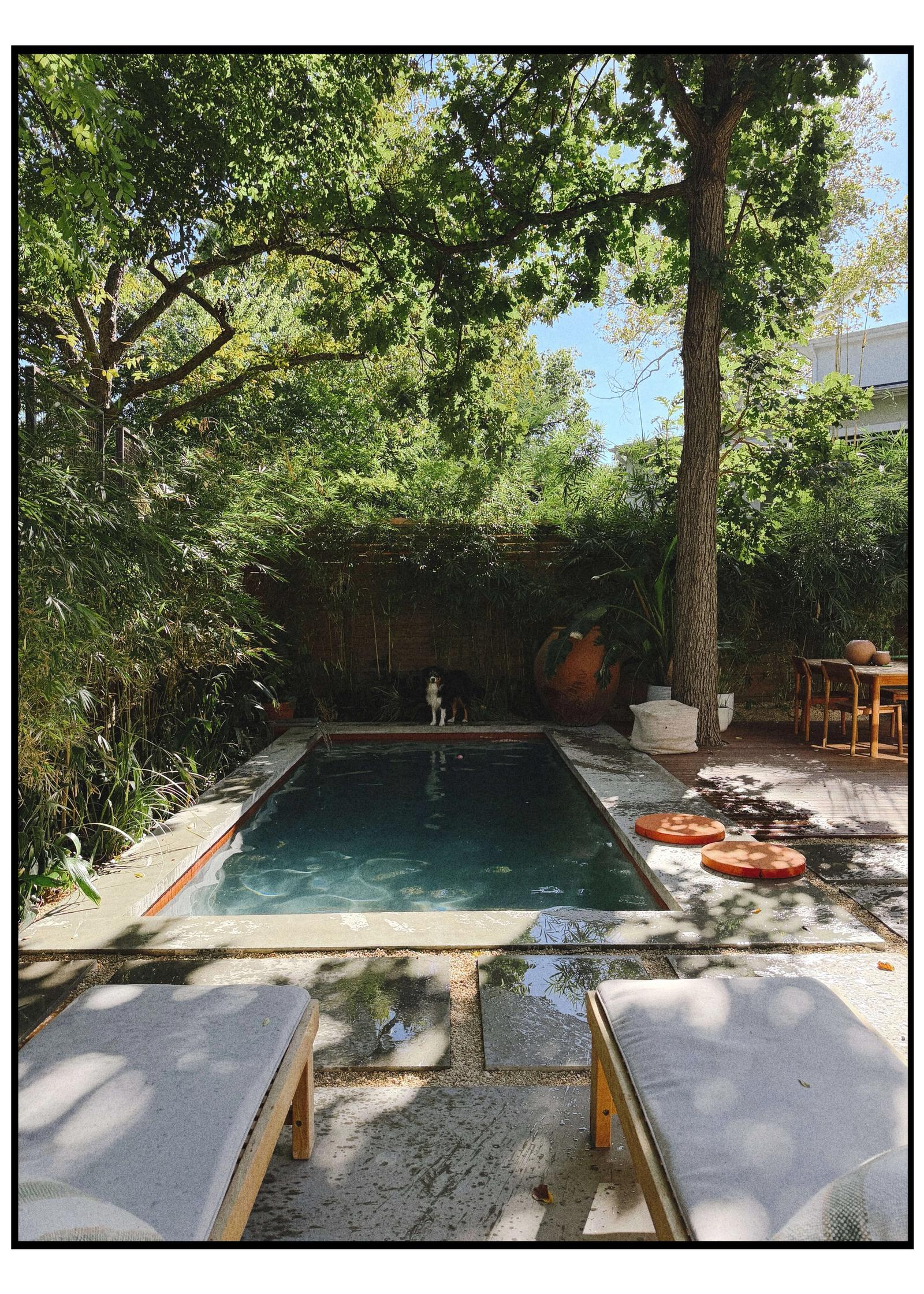 Golden Hour Pools Classic pool surrounded by loungers and lush landscaping in Austin, Texas