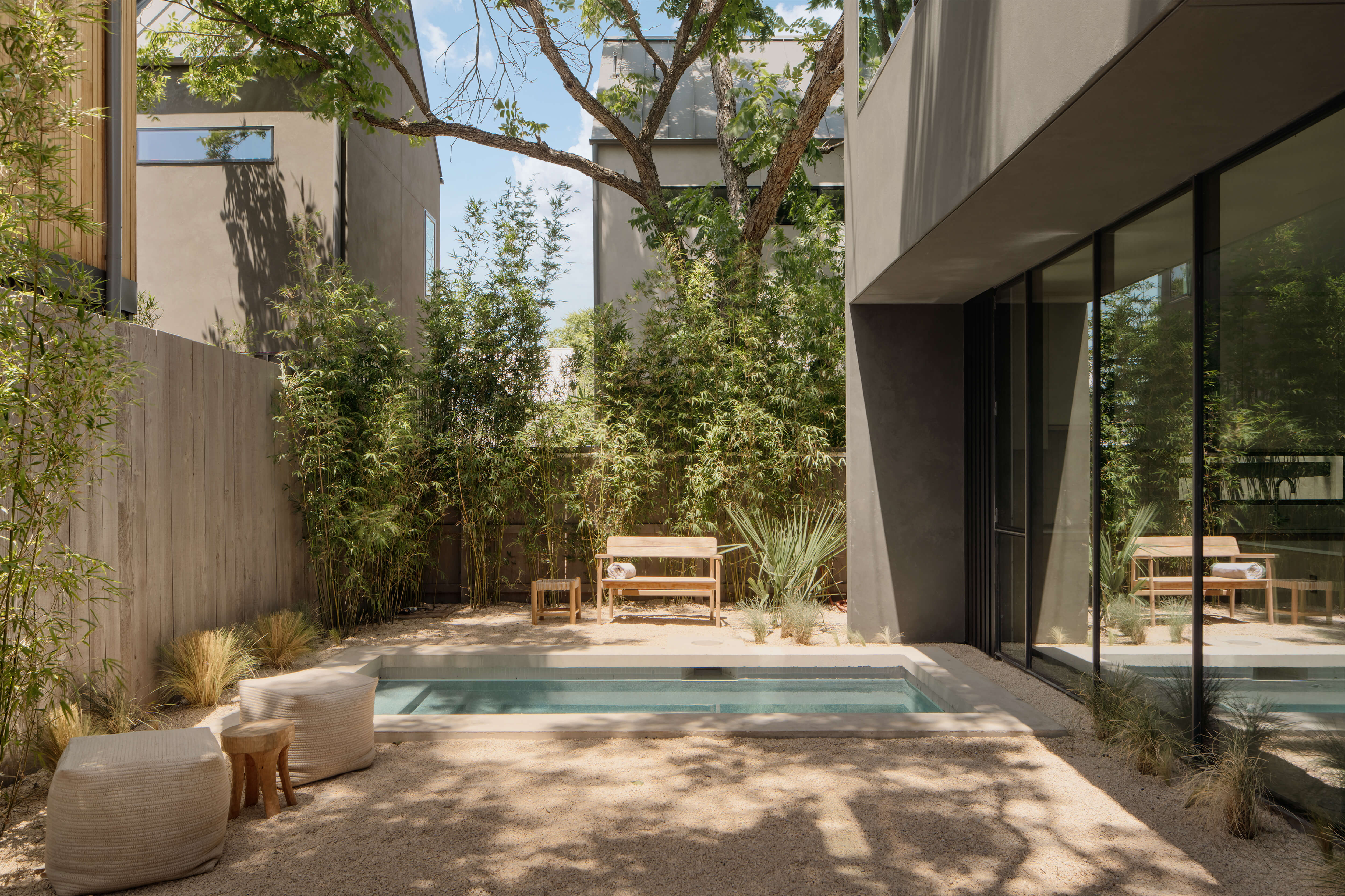 Golden Hour Pools Mini in Austin, featuring contemporary design with mature oak tree and gunite plaster finish