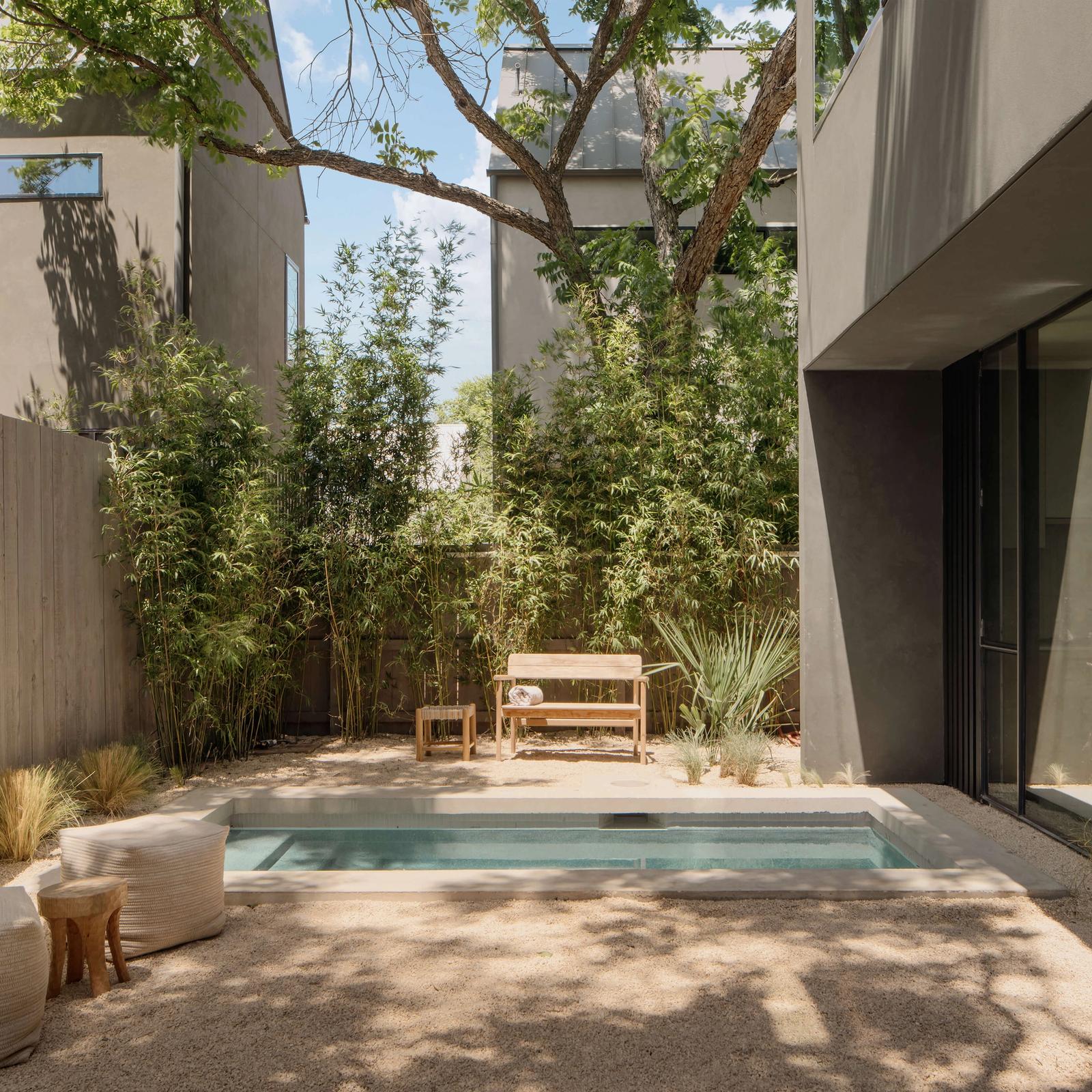 Golden Hour Pools Mini in Austin, featuring contemporary design with mature oak tree and gunite plaster finish