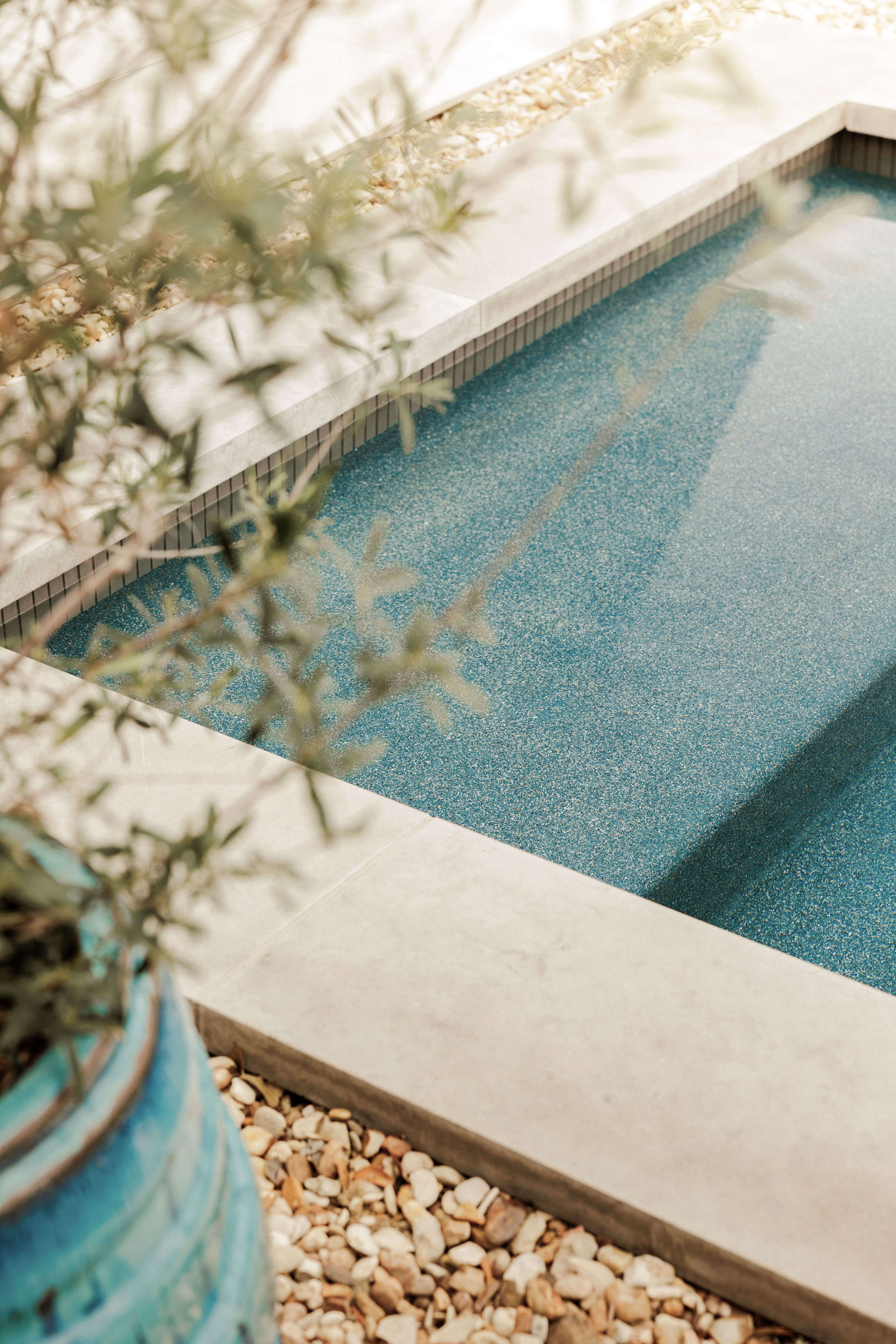 Golden Hour Pools Mini in Houston, featuring olive tree framing mini pool with tanning ledge and gunite plaster finish