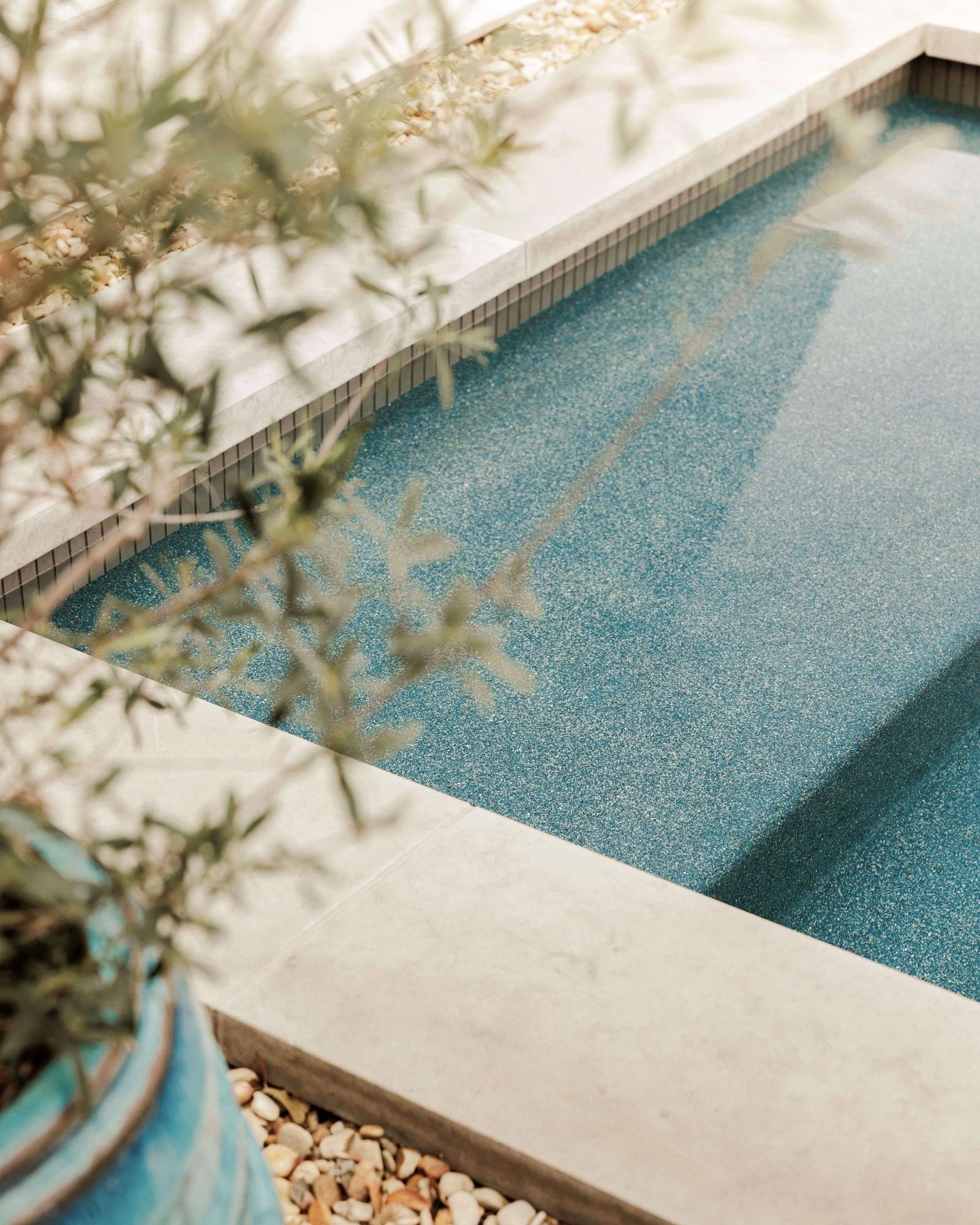 Golden Hour Pools Mini in Houston, featuring olive tree framing mini pool with tanning ledge and gunite plaster finish