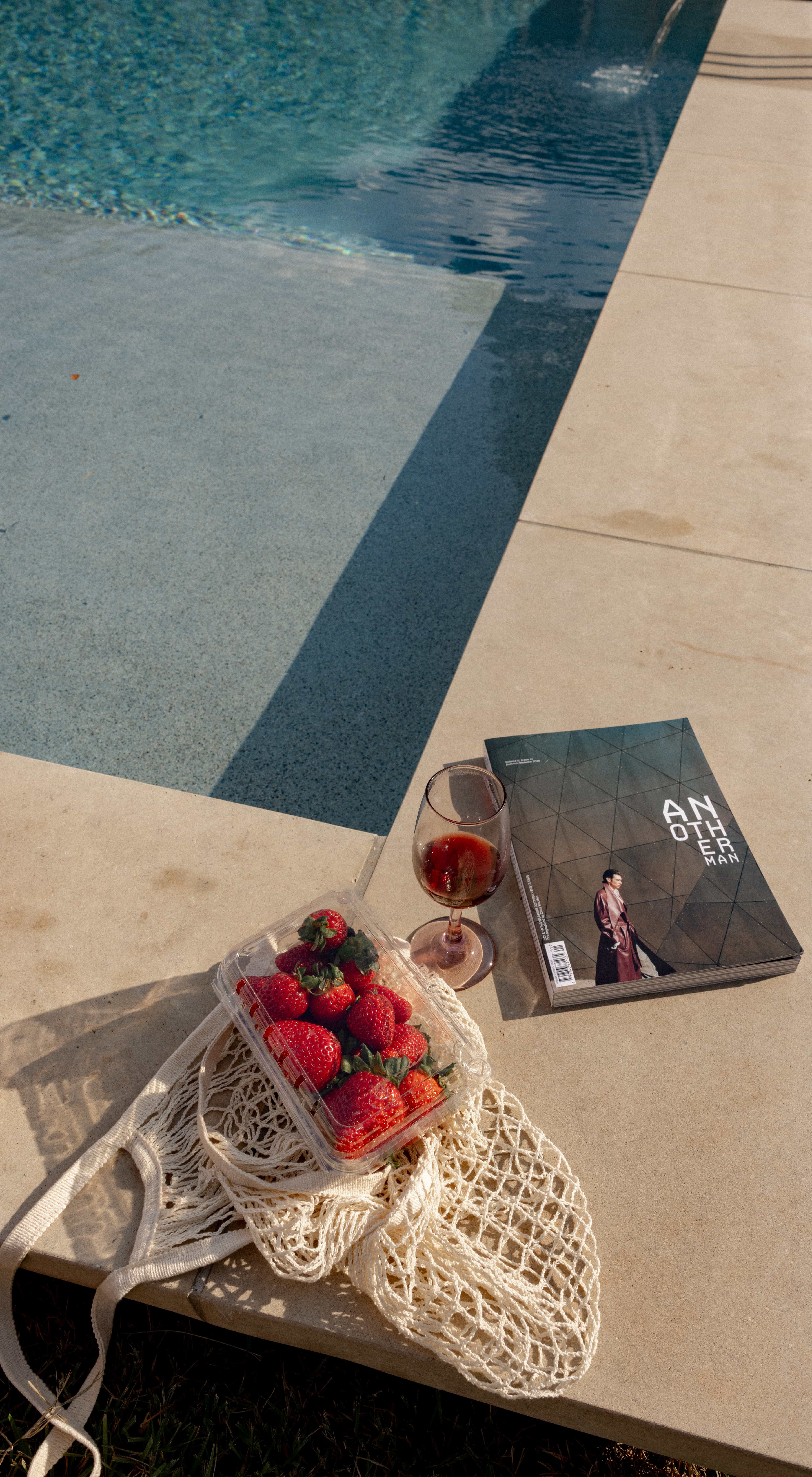 Tanning ledge add-on