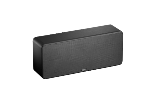 Loxone Wall Speaker