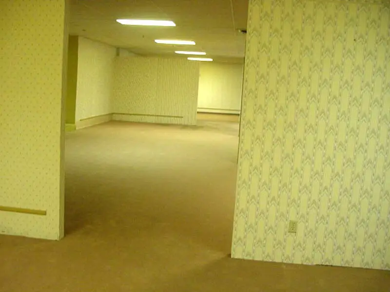 A slightly tilted, low-resolution photograph capturing an empty, labyrinthine office space. The walls are covered in pale yellow wallpaper with a subtle, repeating vertical pattern, and the floor is a dull, beige carpeting. Florescent light fixtures stretch across the ceiling, casting an eerie, uneven glow over the empty corridors that twist out of view.