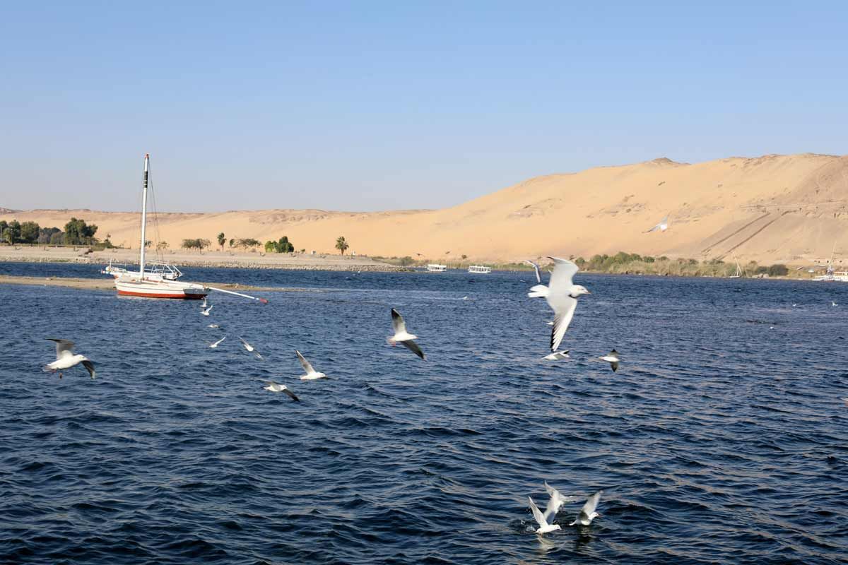 Photo of the Nile in Aswan. Source: Unsplash / Mahmoud Refaat