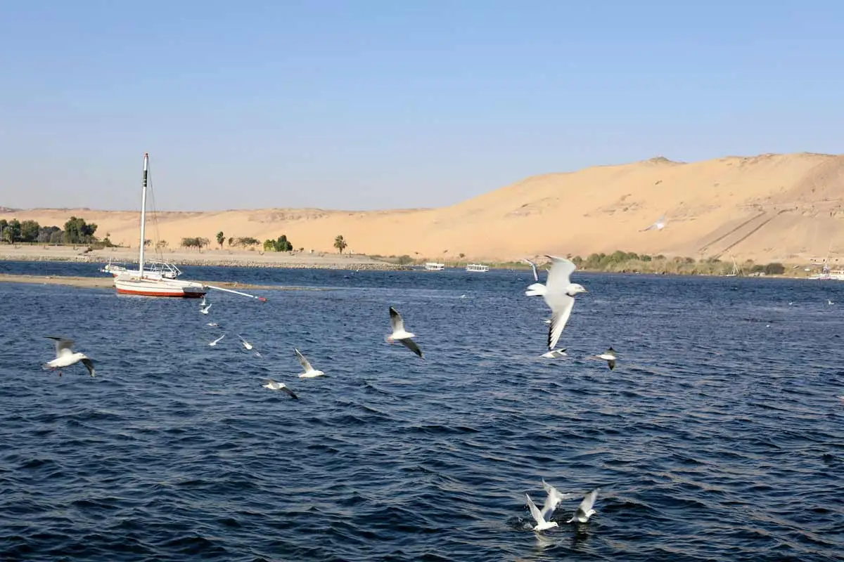 Photo of the Nile in Aswan. Source: Unsplash / Mahmoud Refaat
