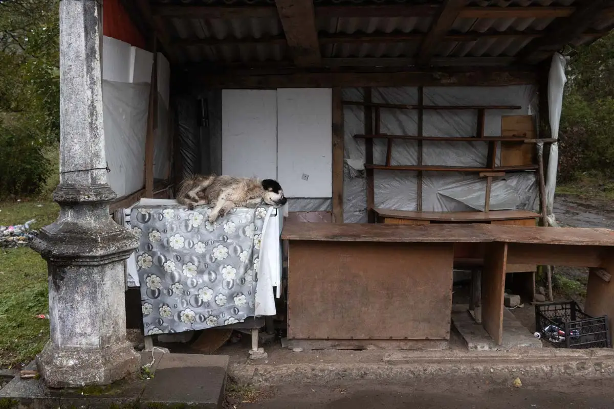 A stray dog sleeps on a makeshift bed inside a dilapidated structure in Tskaltubo, Georgia, surrounded by Soviet-era architectural remains and debris.