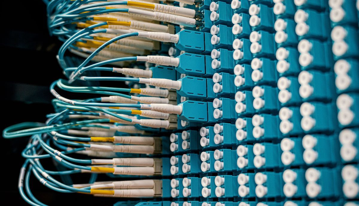 A close-up view of numerous blue fiber optic cables neatly plugged into the glowing ports of a network switch or server rack.