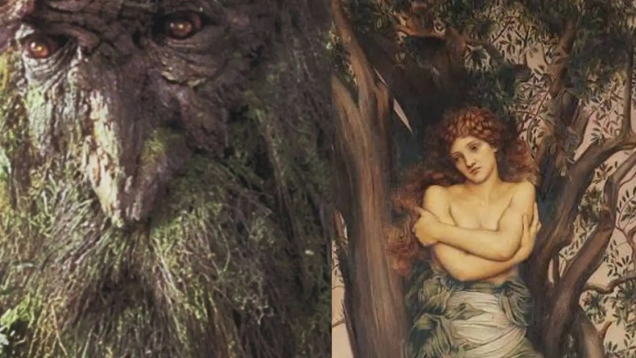 A side-by-side image. The left side shows a close-up of the mossy, bark-textured face of the Ent Treebeard from The Lord of the Rings films. The right side shows a classical painting of a pale, red-haired Dryad holding her arms across her chest as she emerges from the trunk of a tree.