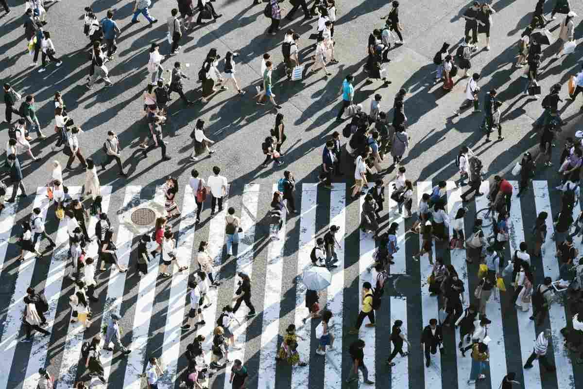 A high-angle, birds-eye view of a large crowd of people crossing a wide zebra-stripe pedestrian crosswalk. The morning or afternoon sun casts long, dramatic shadows across the pavement as people move in various directions.