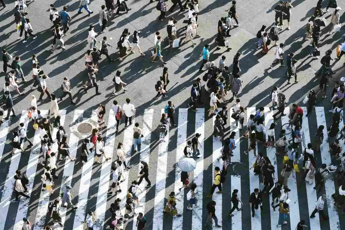A high-angle, birds-eye view of a large crowd of people crossing a wide zebra-stripe pedestrian crosswalk. The morning or afternoon sun casts long, dramatic shadows across the pavement as people move in various directions.