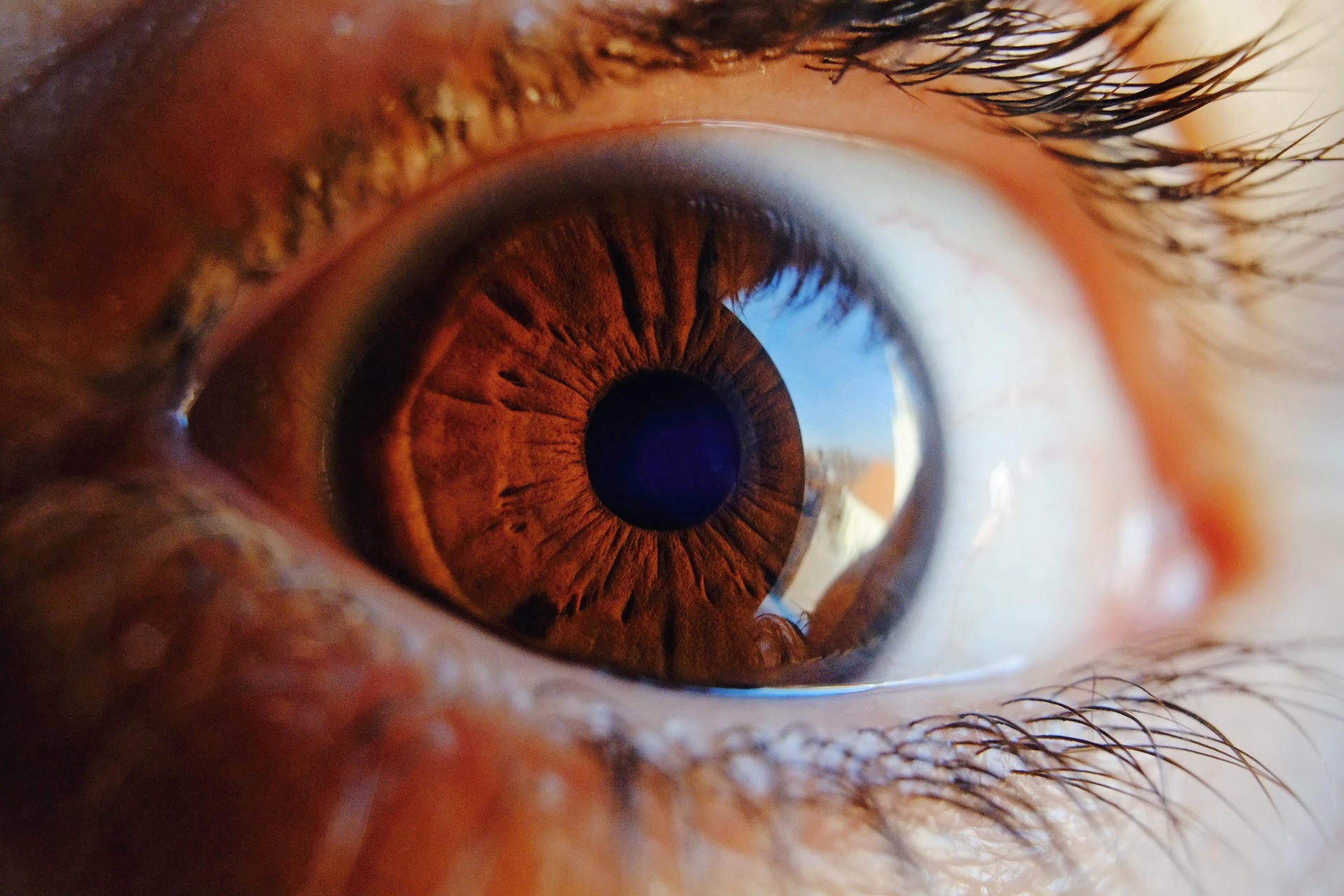 Vedere 10/10 significa avere una buona visione?