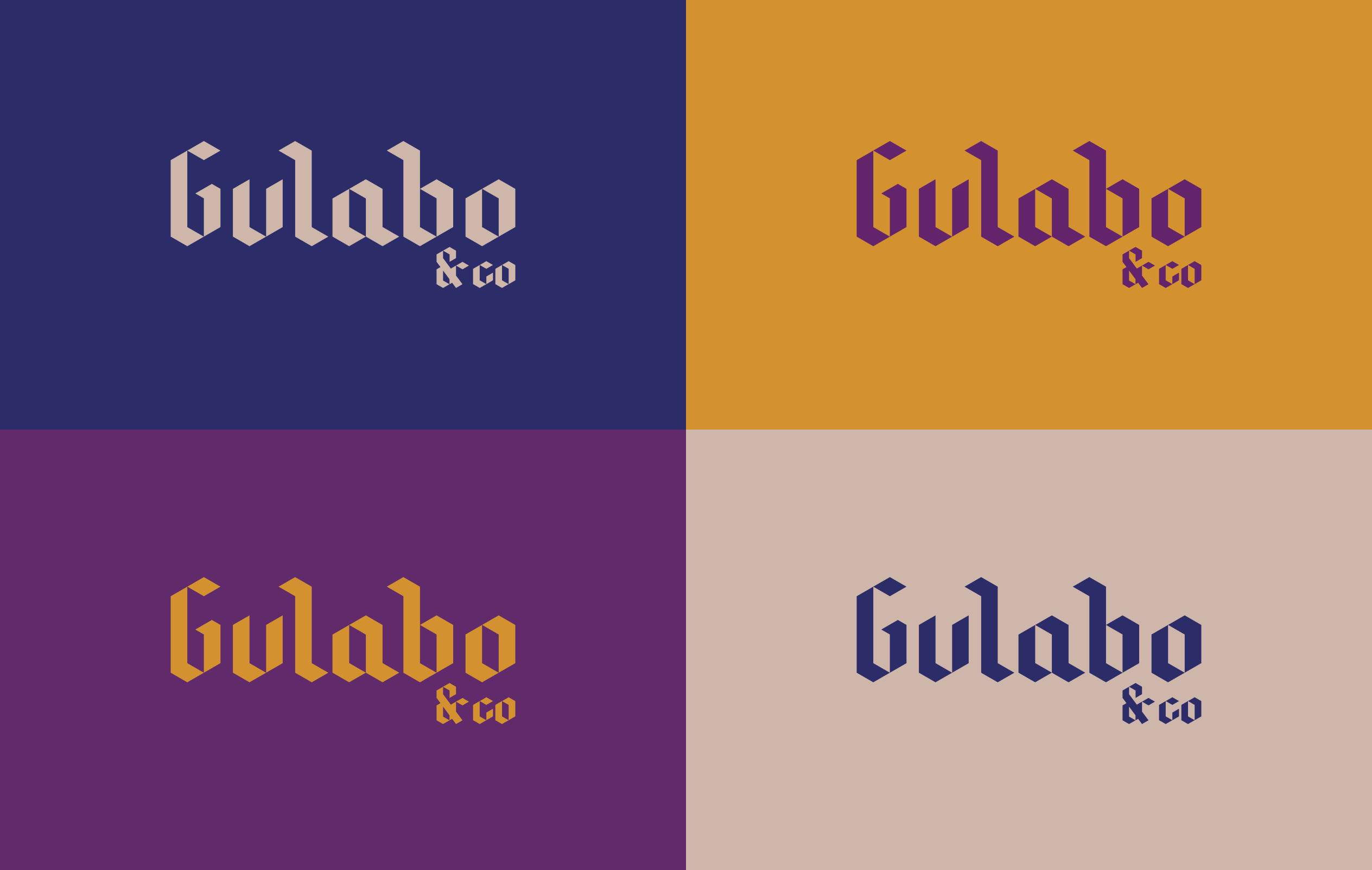 Type and color explorations