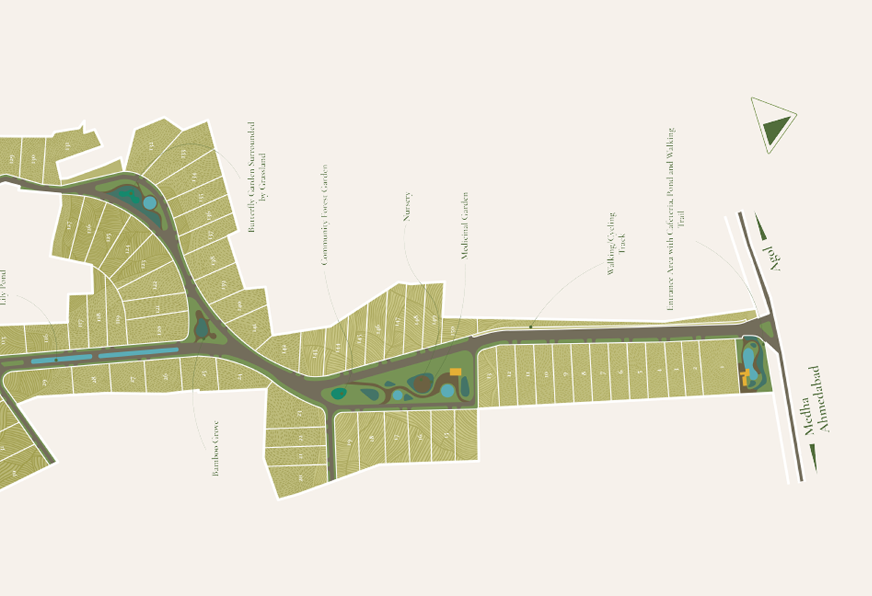 Map illustrations