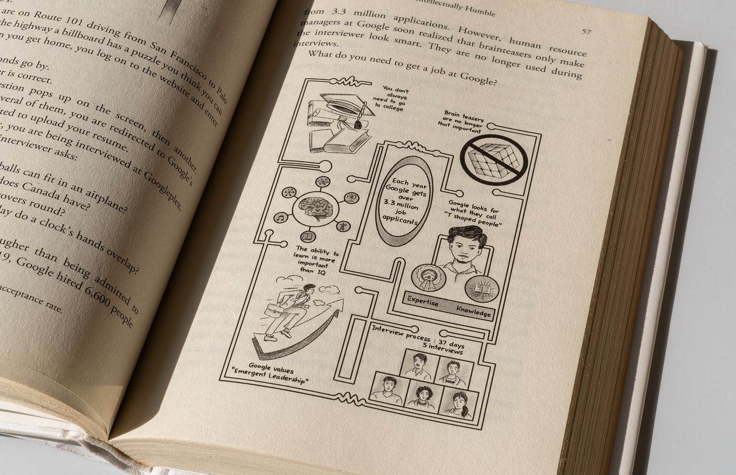 Illustrated infographic