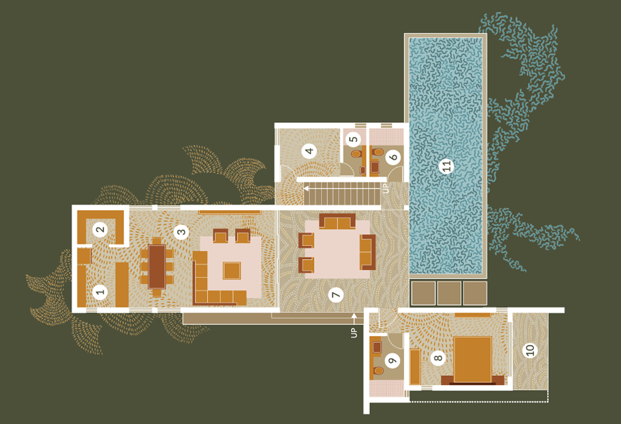 Illustration for Olive Woods