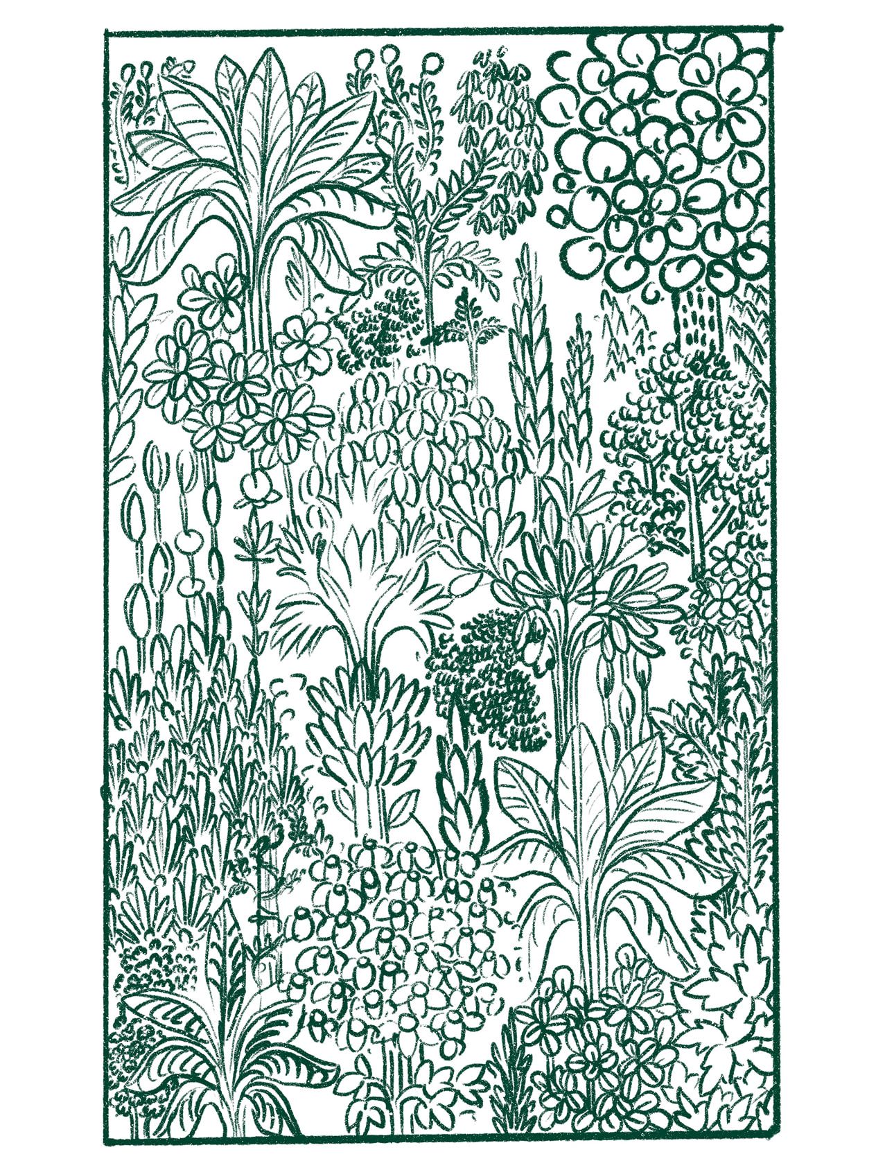 Miniature Illustrations